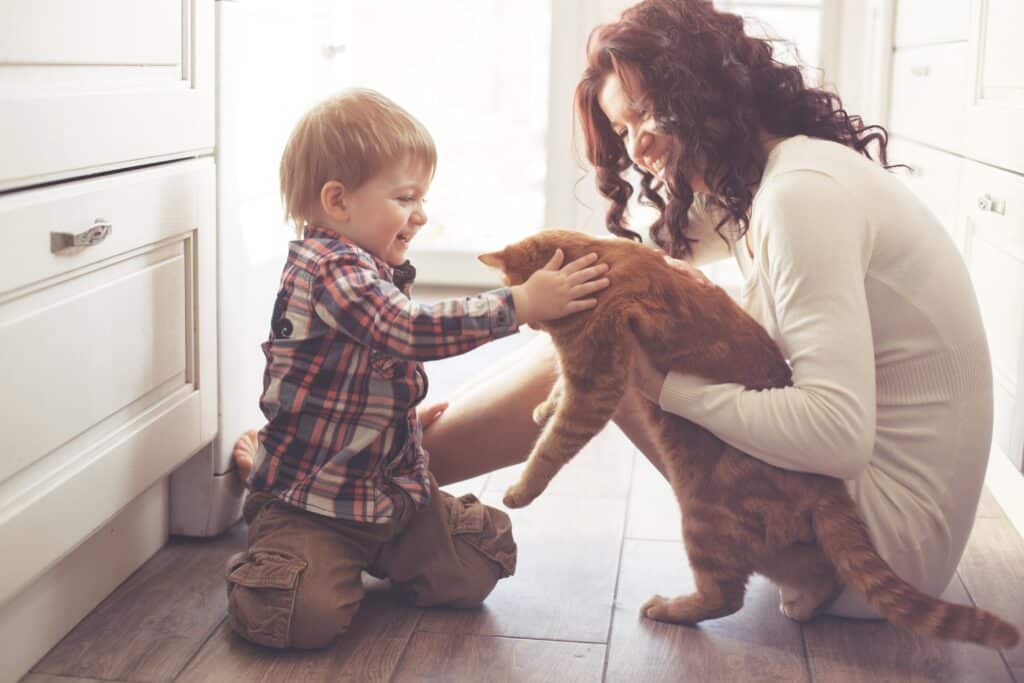 Happy child playing with mother and orange cat in a cozy kitchen setting, emphasizing family bonding and pet interaction.