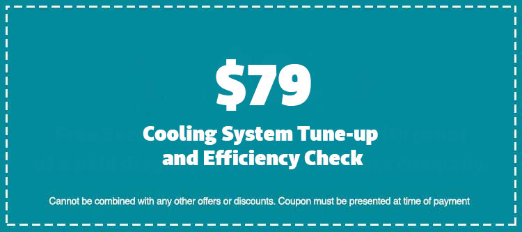 Cooling System Tune-up and Efficiency Check